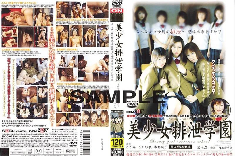 Seaside toilet, girls peeing or pooping. (SDDO-025) (2022/SD)