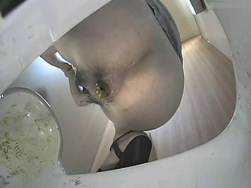 Japanese toilet voyeur. Bottom view excretion Uncensored (BFJP-93) (2024/SD)
