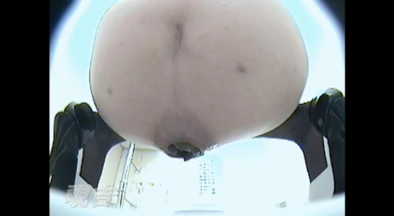 美容室のスタッフ用トイレ Toilet in a Beauty Salon For Staff () BFJP-131 - (2024/SD)