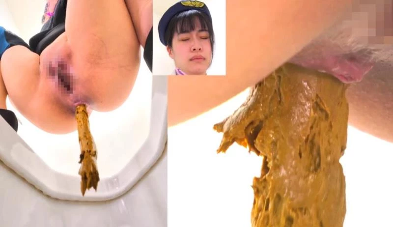 Long Shit on Western and Japanese Style Toilets (BFEE-301) (2025/FullHD)