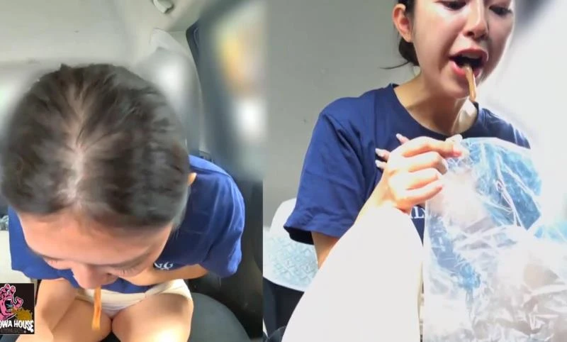 Don’t Vomit in My Car 私の車の中で嘔吐しないでください (BFJV-176) (2025/FullHD)