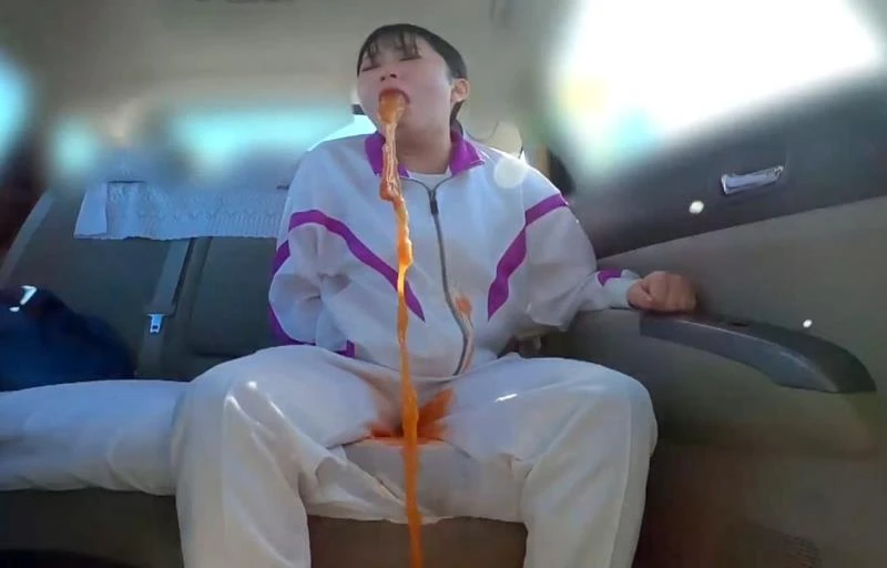 盗撮、日本のトイレの嘔吐物 Voyeur, Japanese Toilet Vomit (BFJV-179) (2025/FullHD)