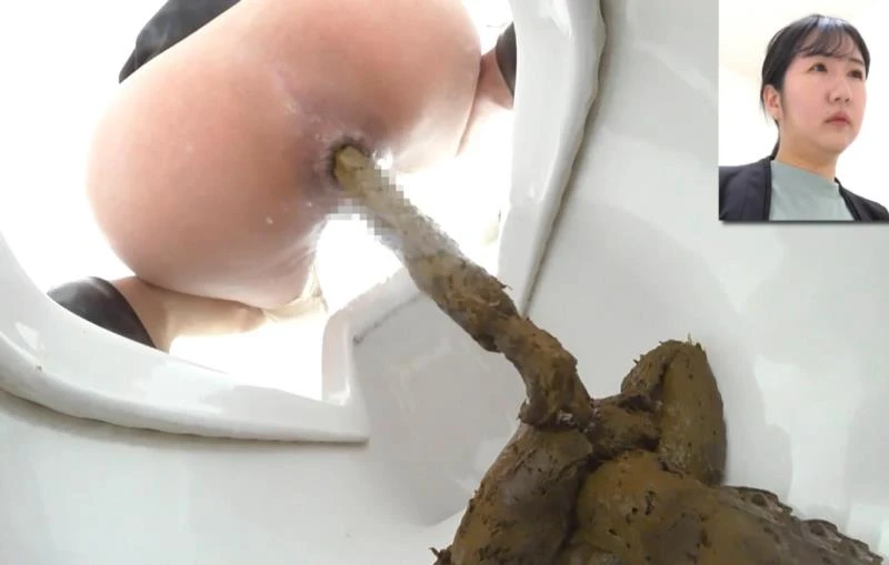 Shit on Western and Japanese Style Toilets (BFEE-312) (2026/FullHD)