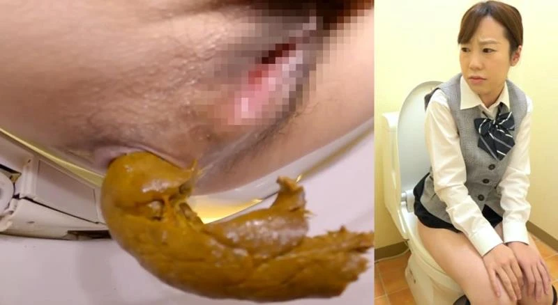 Defecating in the Toilet トイレで排便する (BFSL-317) (2026/FullHD)